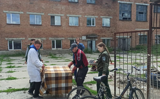 Специалисты Росприроднадзора изъяли 5 волков у  жителя р.п. Сузун