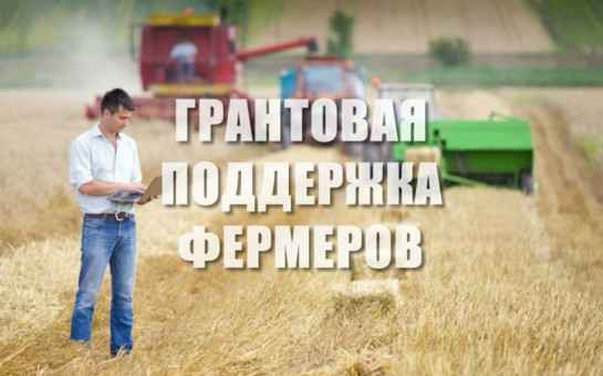 Вопросы подачи заявок на гранты и субсидии министерства сельского хозяйства Новосибирской области, а также иные меры поддержки фермеров.