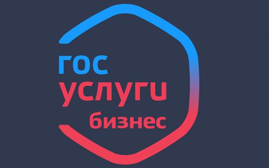 В Новосибирской области с 2025 года запущен механизм обратной связи с предпринимателями